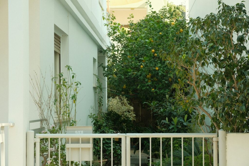 Lush green garden with trees and plants behind fence