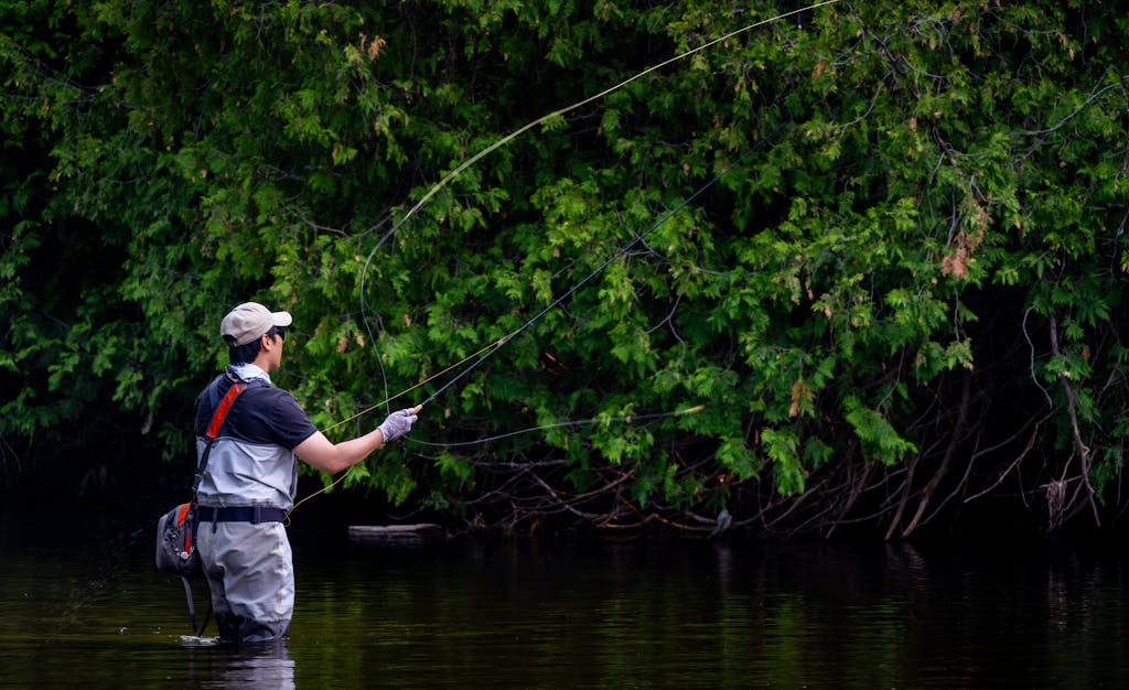 An adult male fly fishing in a river surrounded by dense forest, showcasing outdoor adventure.